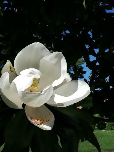 Bed & Breakfast Domaine Abartiague