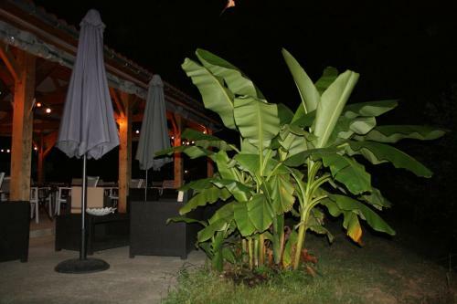 Village Camping Les Vignes
