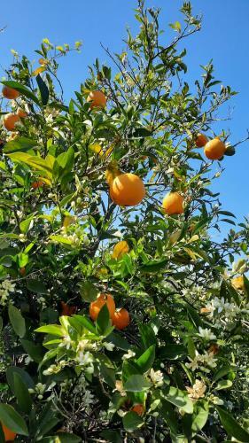 Agroturismo Landolina Guest House