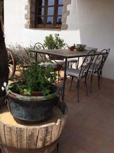 Bed & Breakfast Domo de Enas