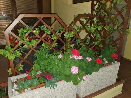 Apartamento Garda Felice