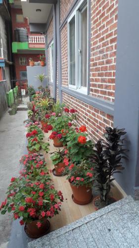 Hostal Beli Guest House