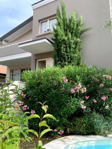Apartamento Lady