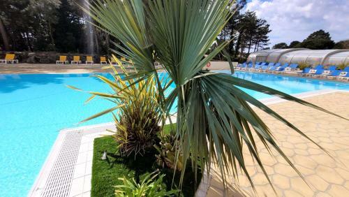 Belles Vacances En Bord de Mer Dans Camping 4 Etoiles