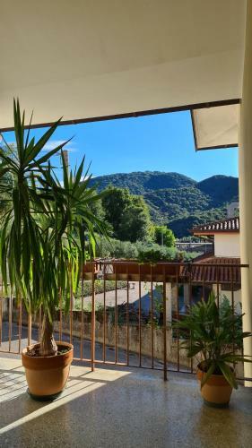 Apartamento Casa Degli Ulivi