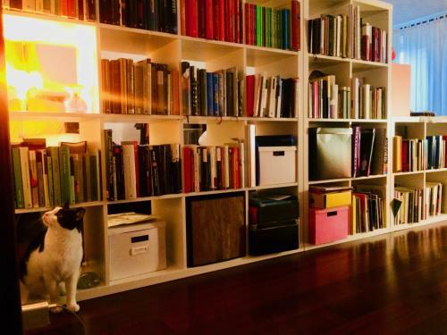 Hostal Da Coco E Mini,l'angolo Delle Ceramiste In Viaggio - Secondo Piano