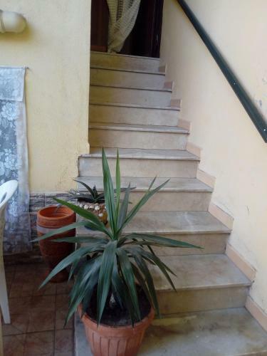Apartamento Casa Vacanze Da Rosy