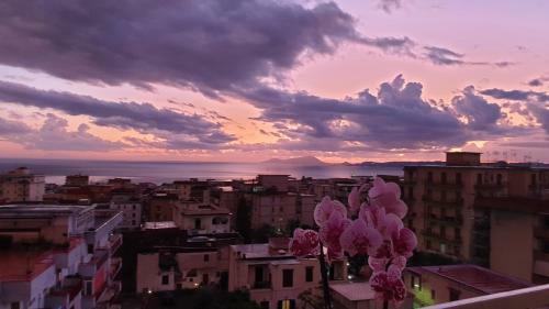 Bed & Breakfast Casa Angelina