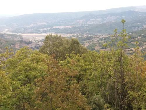 Casa Vacanze Del Pollino