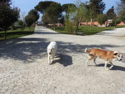 Apartamento Alloggio Turistico Confortevole Passo Corese