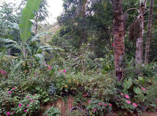 Bed & Breakfast Kavishka Guest House