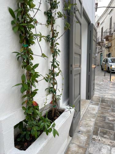 Hostal Le Dimore Di Fabiola