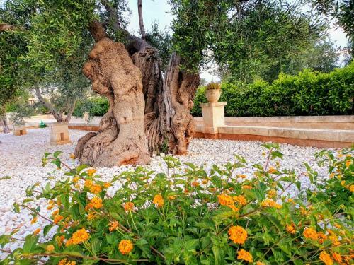 Apartamento Dimora Di Tours