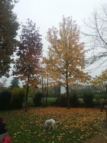 Bed & Breakfast R&b Un Mondo A Colori