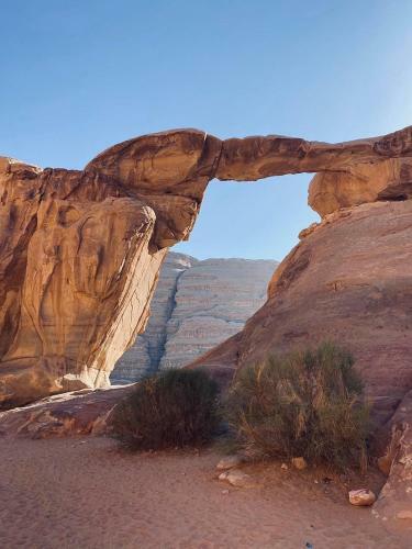 Wadi Rum Sweet Camp