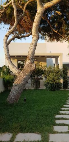Casa Mirella