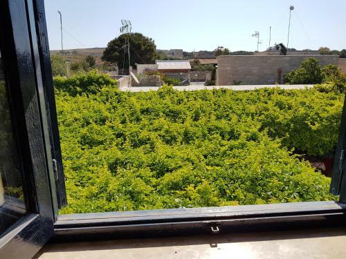 Hostal Favignana Rooms