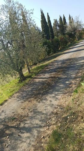 Apartamento Poggio Dei Carli