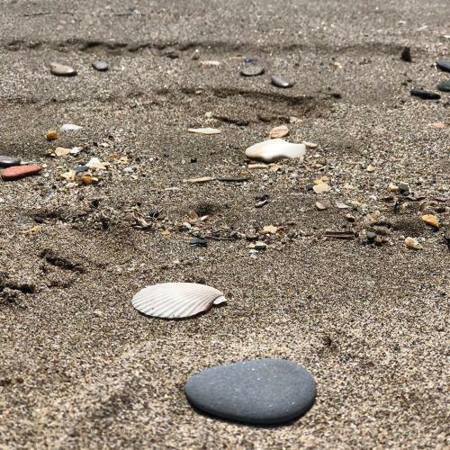 Mobil Home Le Spacieux, Valras Plage