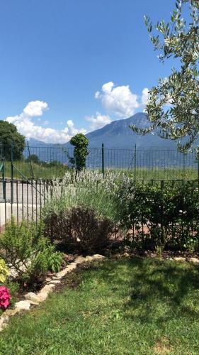 Apartamento Carlino Appartamento Giardino E Piscina