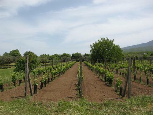 Bed & Breakfast Villa Veda