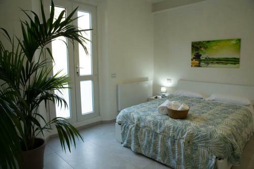 Hostal Guest House Oasi Dei Mille