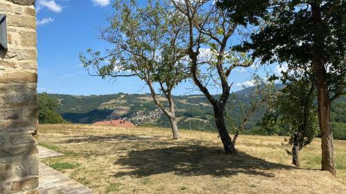 Apartamento Agriturismo Il Casone
