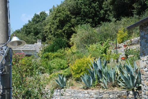 Apartamento Corniglia - San Bernardino Wifi