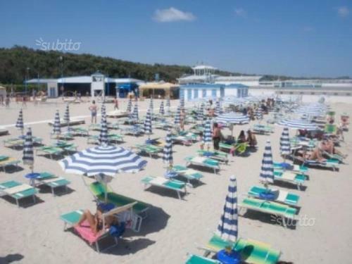 Bilocale 4 Posti A Campoverdevillage
