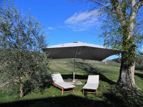 Bed & Breakfast Francigena