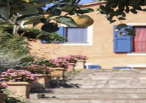 Villa Casciano By Mc Luxury Rentals