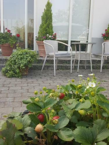 Bed & Breakfast La Terrazza Sui Vigneti-rovescala