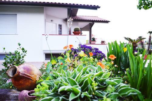 Apartamento La Casetta Delle Rose