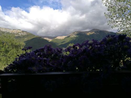 Agroturismo Tenuta Castelli