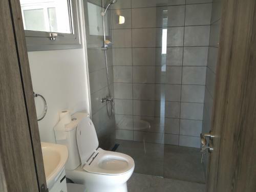 Central Modern Newly Furnished Apartment