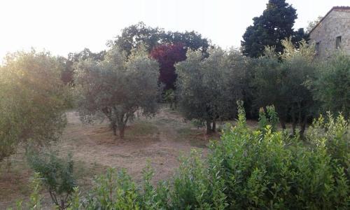 Casa Annick