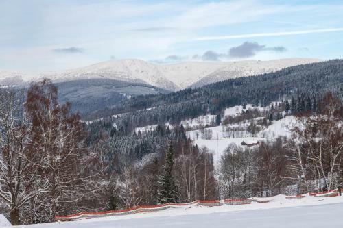 Apartm�ny Family Ar�na
