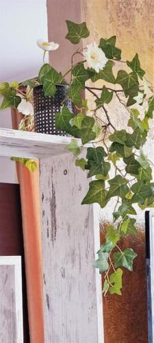 Apartamento ????? ?????????? ????? ?? ?????? ?????? / Igroeg