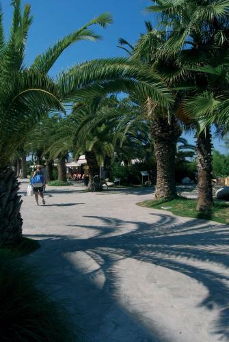 Hotel Soraya