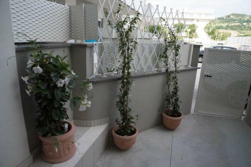 Apartamento Casa Sprint