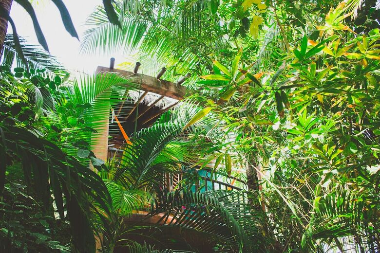 Hotel Cocos Cabanas