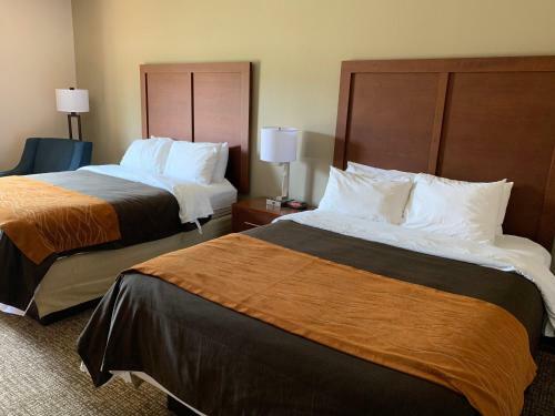 Hotel Comfort Inn Smithfield