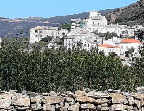 Azureo - Terrasse Du Golfe
