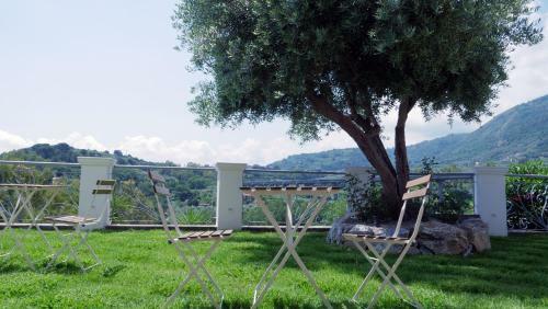 Apartamento Tal�a Residence