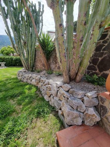 Apartamento Tal�a Residence