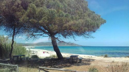 Apartamento Appartamento Vecchia Pineta