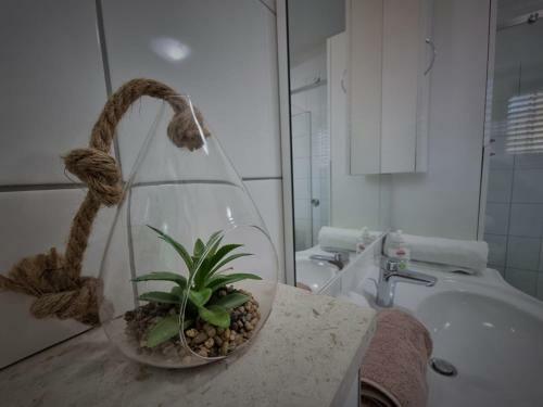 Apartment Lux