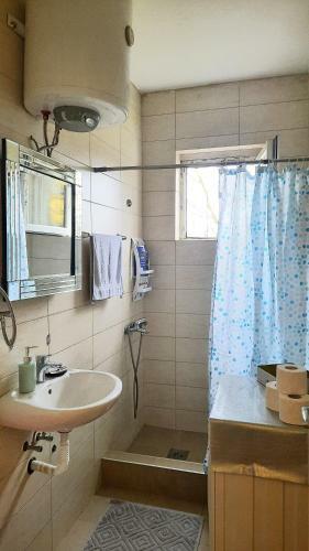Cozy, Charming One Bedroom Apartment