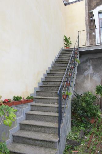 Le Quattro Stagioni - The Four Seasons