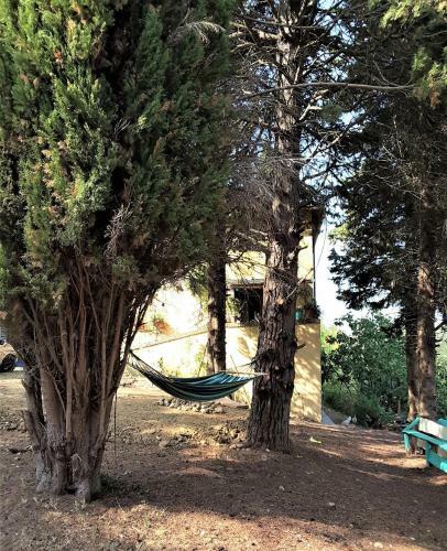 B&B Mediterrando